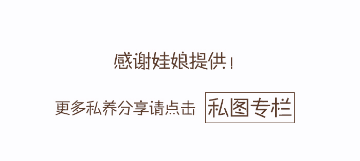 BJD SD 人偶 娃娃 BJD古风 BJD三分